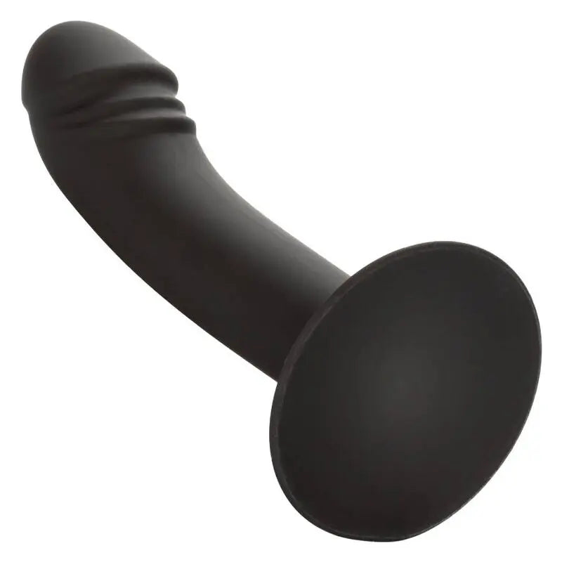 Plug Anal Courbé Stud Silicone avec Ventouse - CalExotics