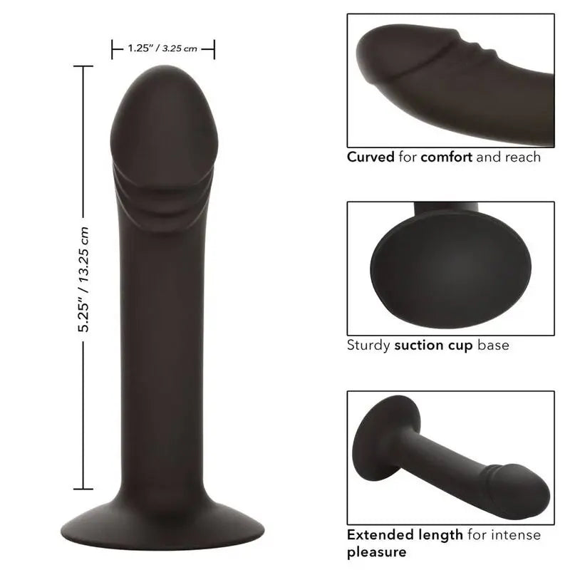 Plug Anal Courbé Stud Silicone avec Ventouse - CalExotics