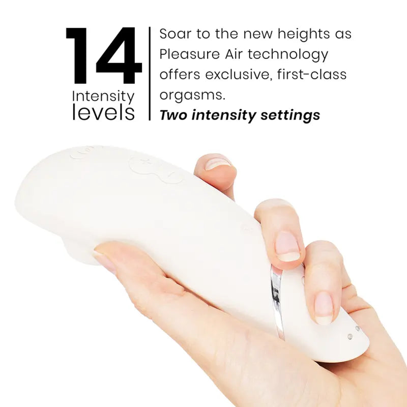 Womanizer - Premium 2 Stimulateur clitoridien | Gris chaud