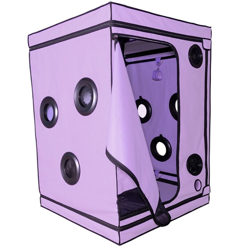 Secret Dome - Cabine BDSM ’Bondage box’ Scandale - Violet et Noir