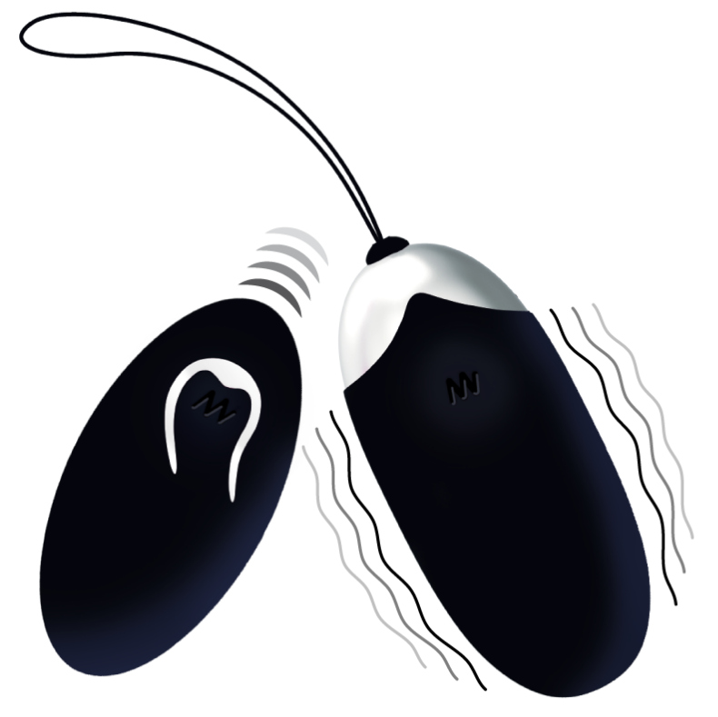 Oeuf Vibrant Télécommandé Flippy 2 Noir - Intense