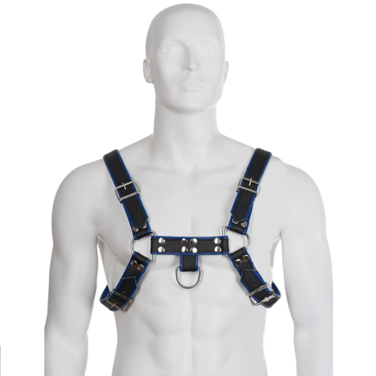 Harnais Cuir Poitrine Bulldog Bleu et Noir - Leather Body - LEATHER BODY