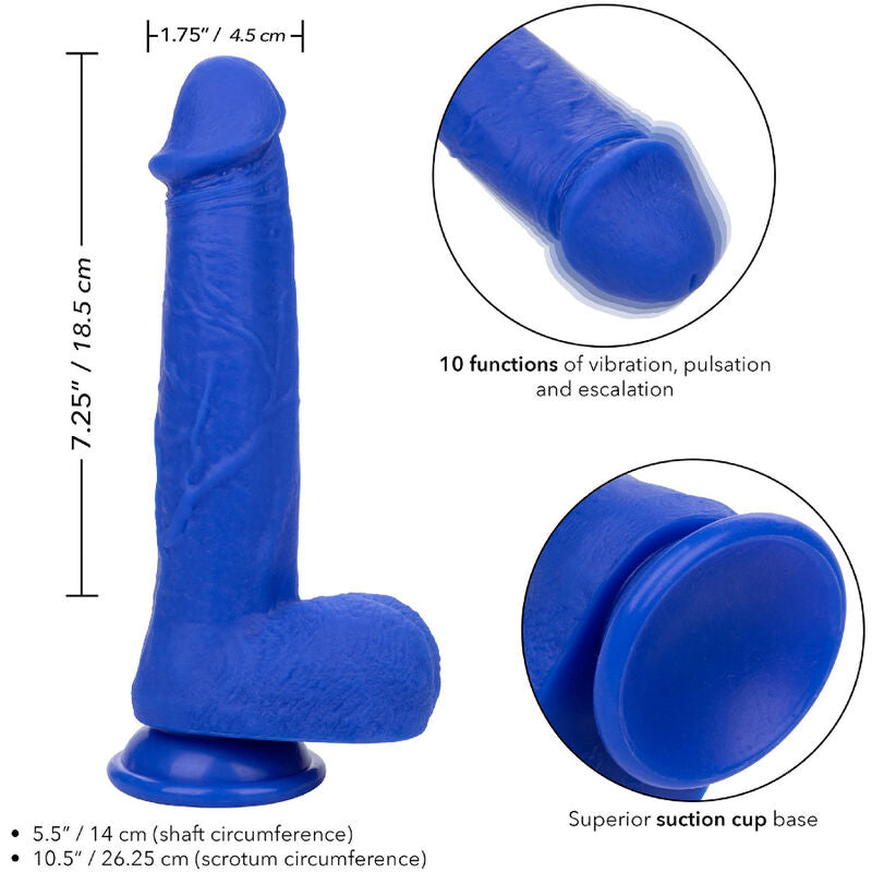 Gode Vibrant Réaliste Captain Admiral Bleu - CalExotics