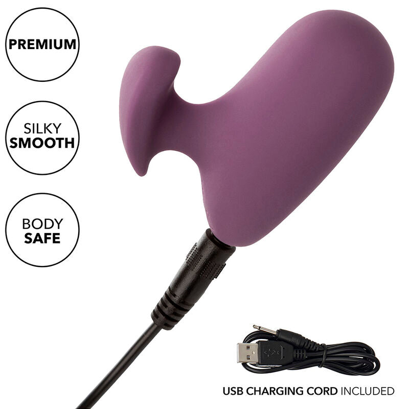 Stimulateur Mod Touch Violet - CalExotics