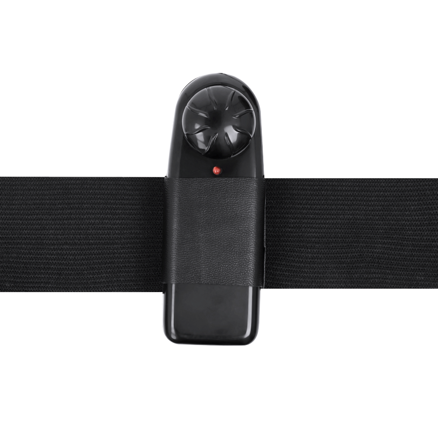 Harness Attraction – Gode ceinture Emmett avec vibromasseur – 16,5 cm